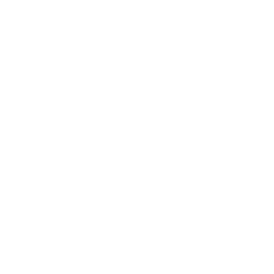 010-safe